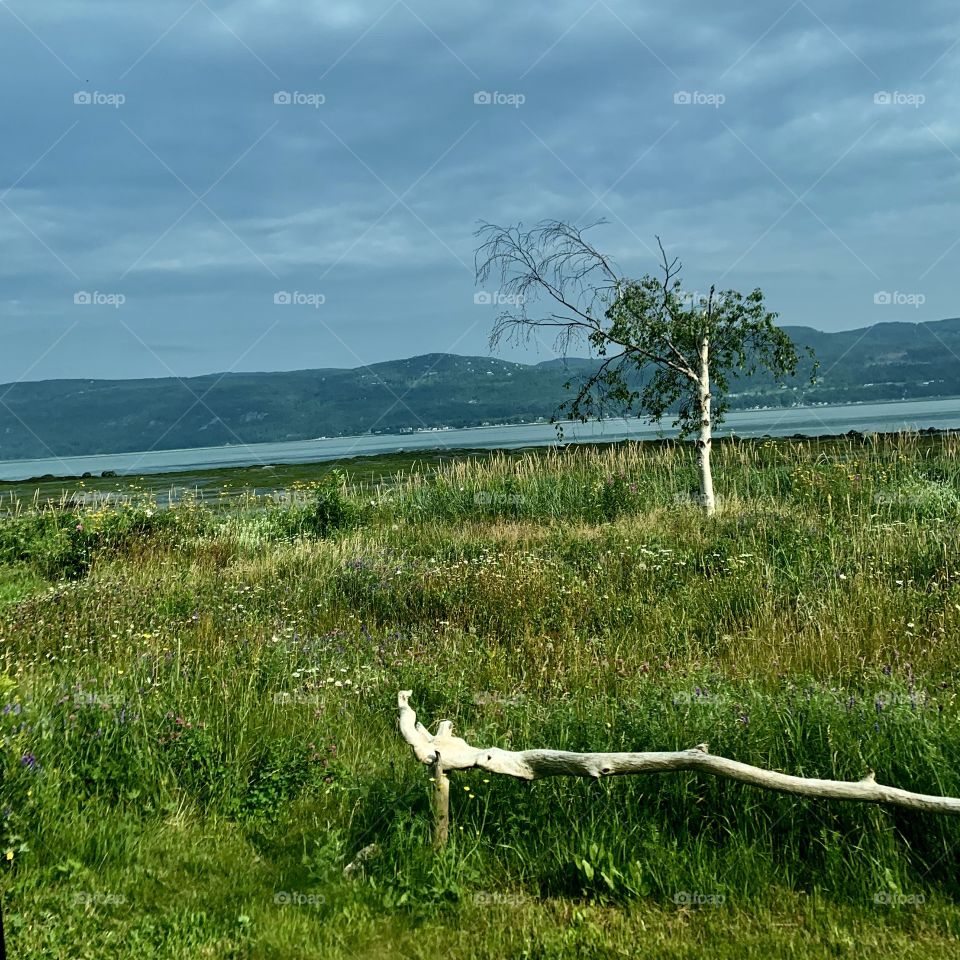 Wonderful landscape on the banks of the St. Lawrence River in Isle-aux-Coudres in the province of Quebec in Canada.