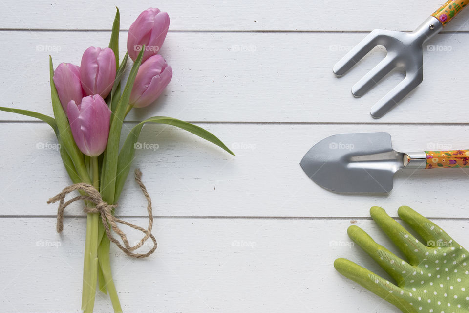 Spring Flowers and Gardening Tools 