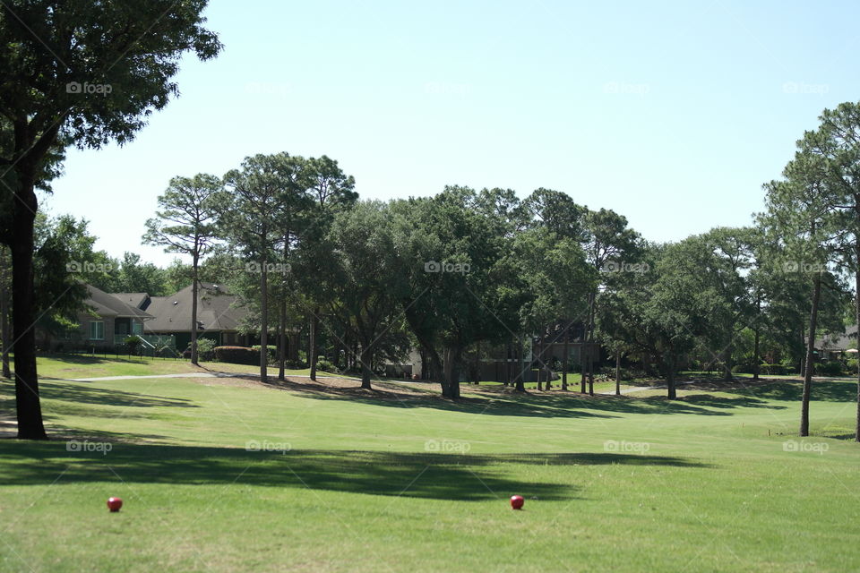 Golf course fairway 