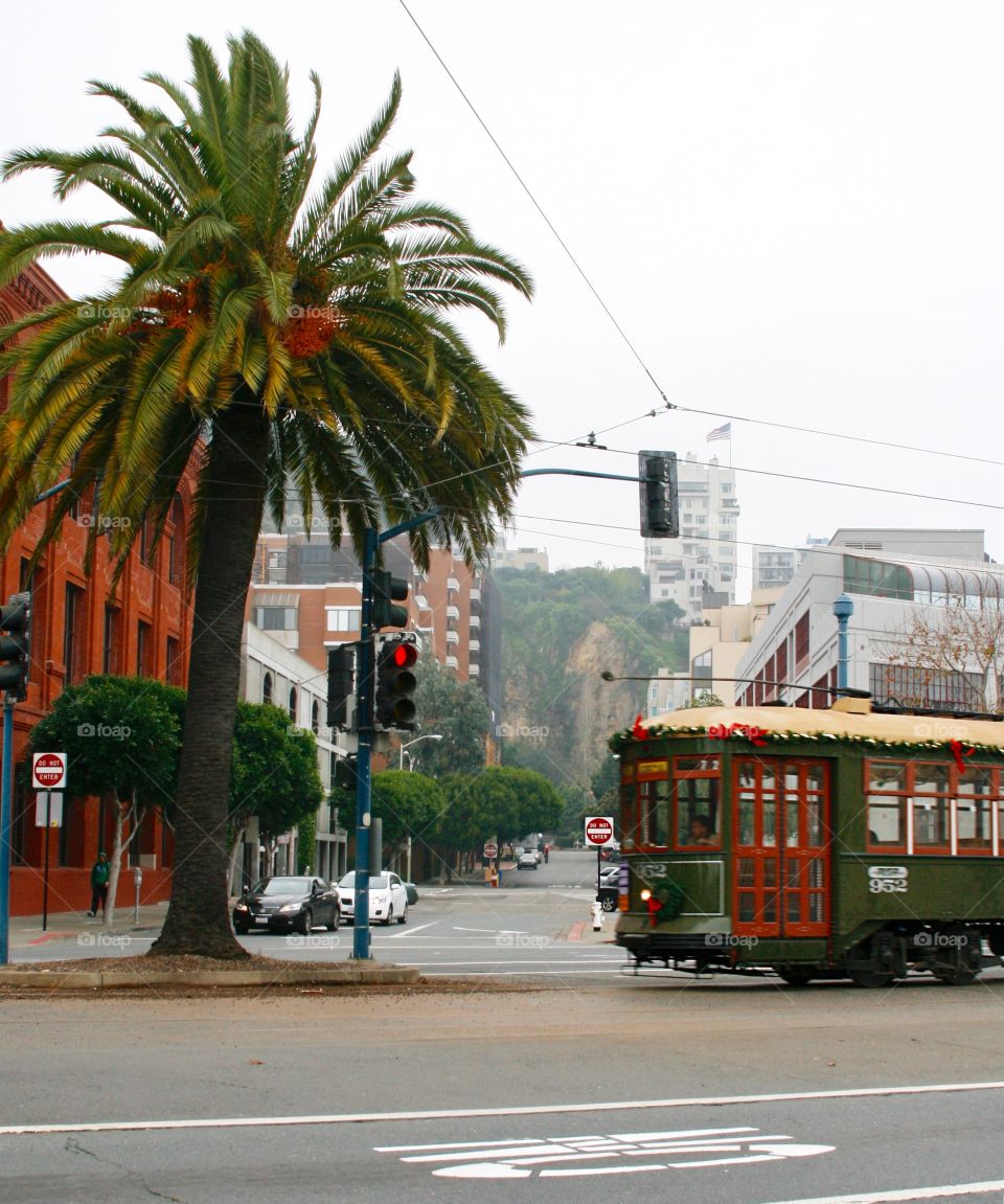 Tram train on the street 