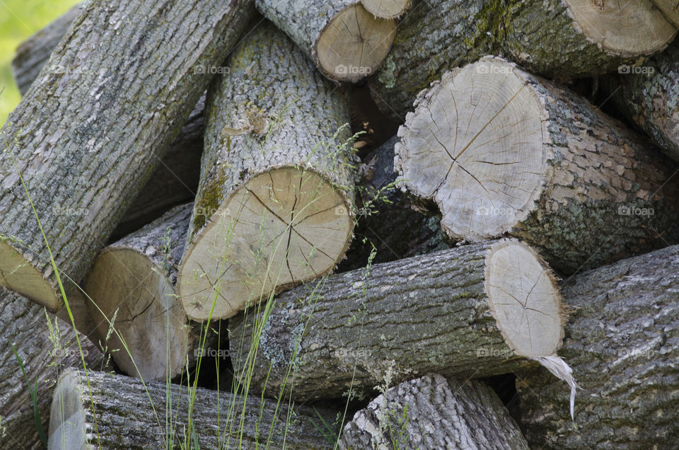 Wood Pile 2