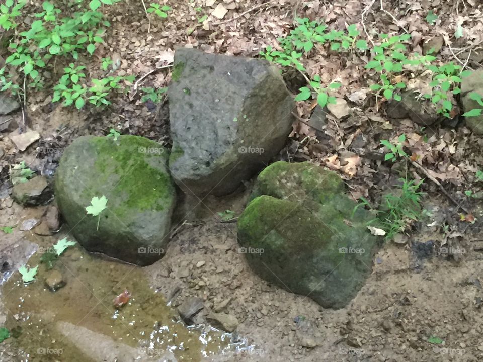  Big rocks in the creek 