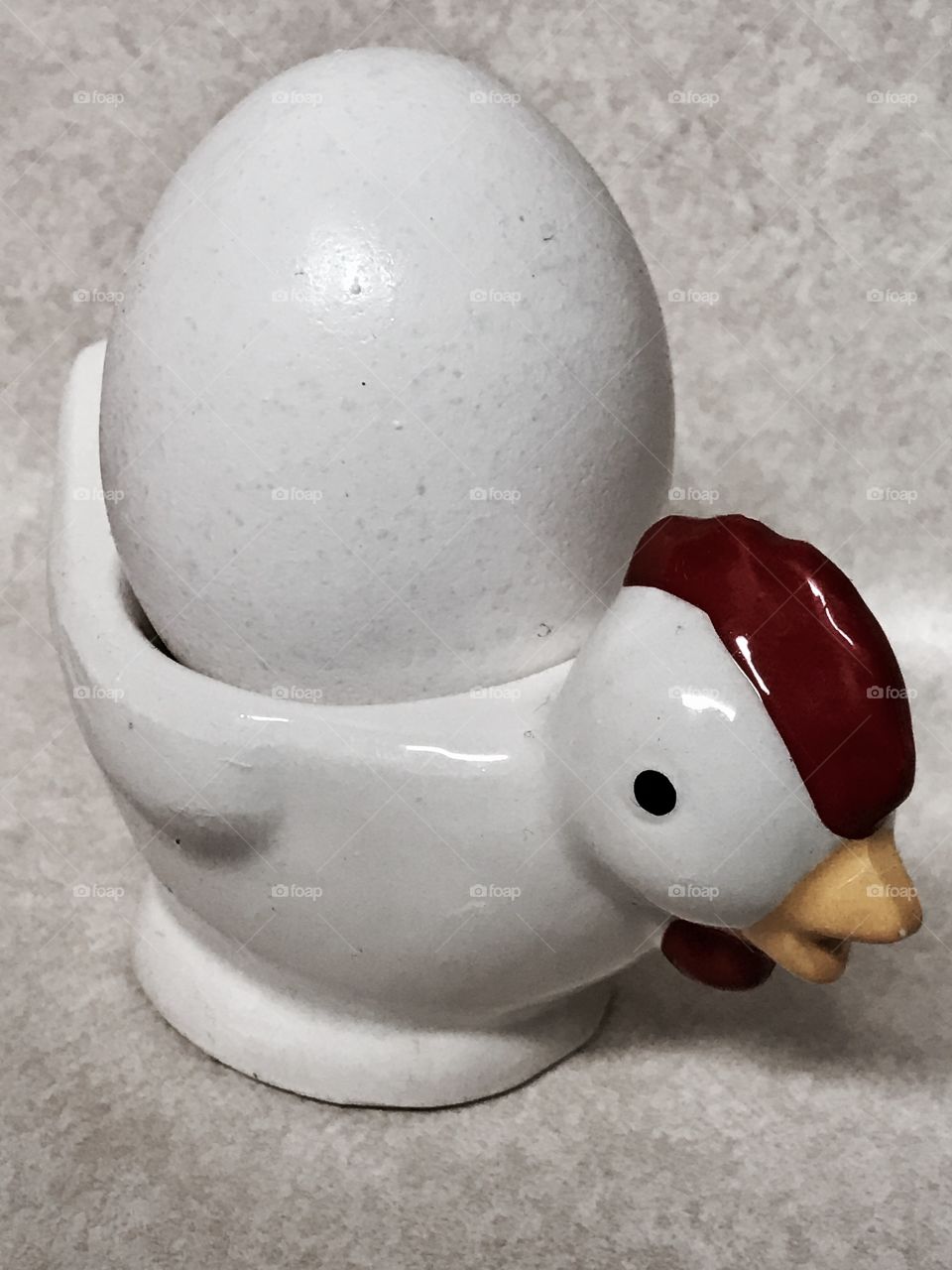 Chicken Carrying Egg