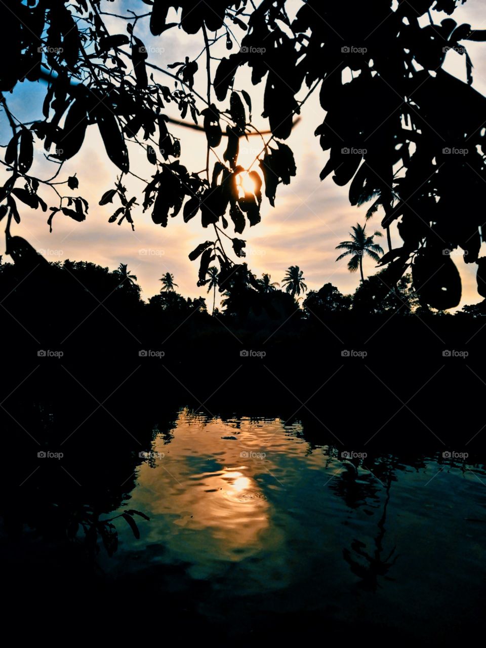 river and sunset behind trees.