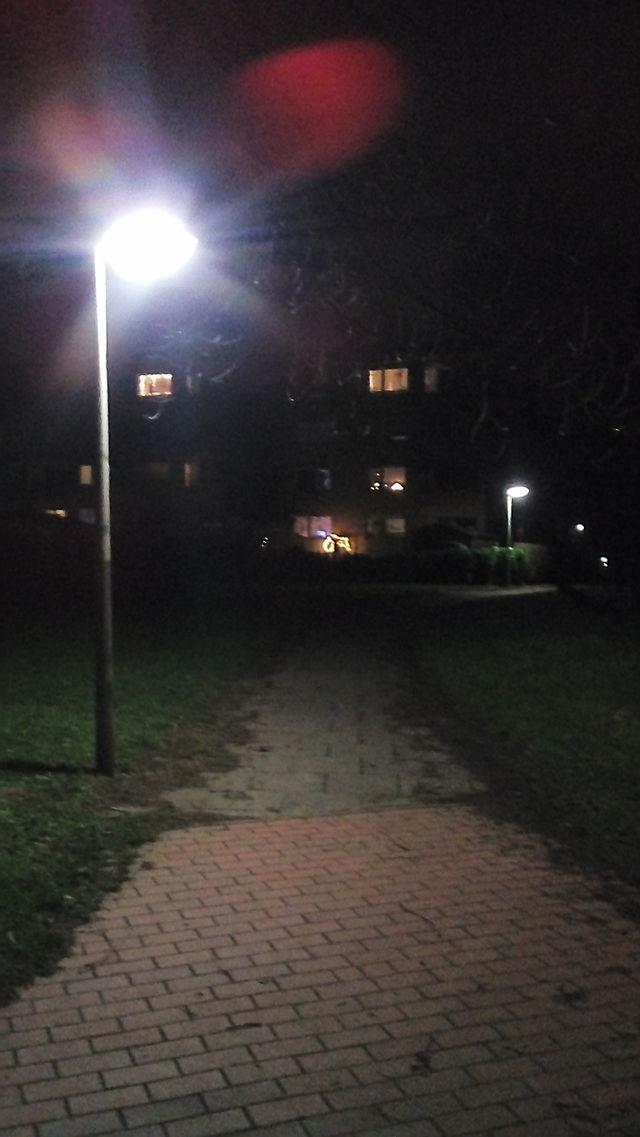 Way in the Night