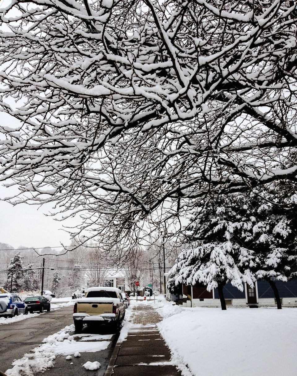 Snowy street and sidewalk