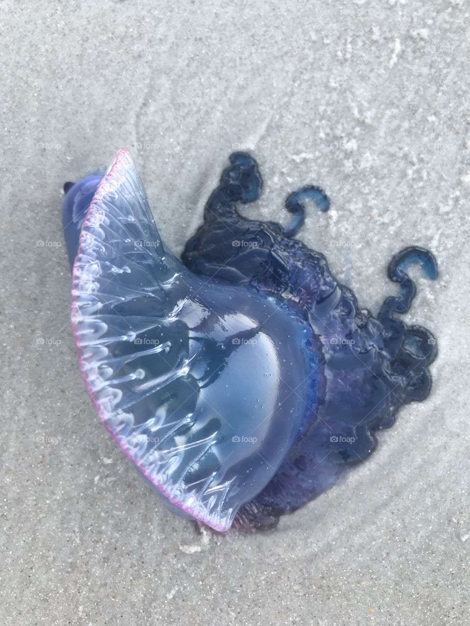 Beach, Seashore, Sand, Water, No Person