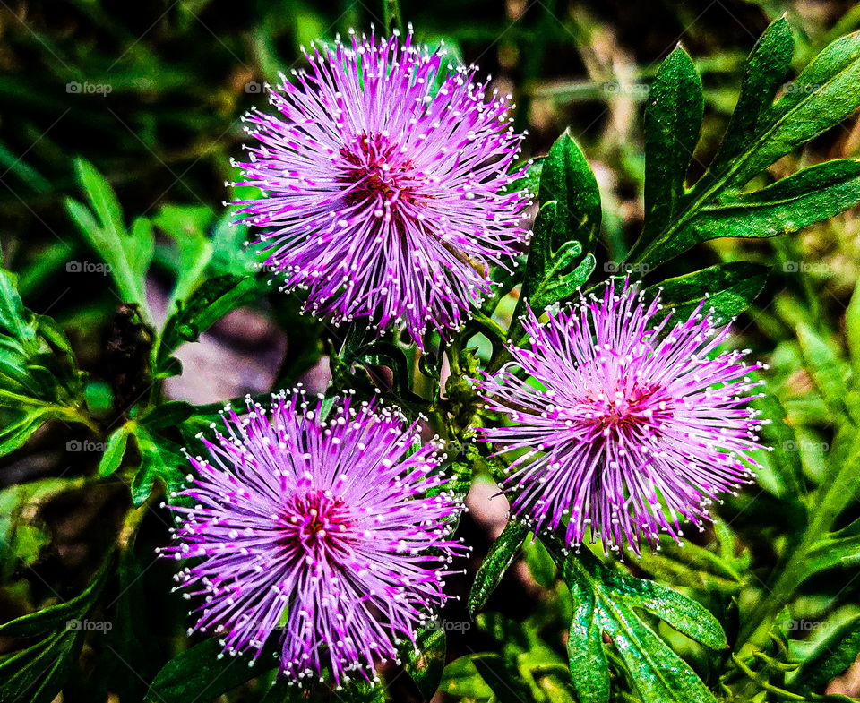 power of 3 💗💗💗