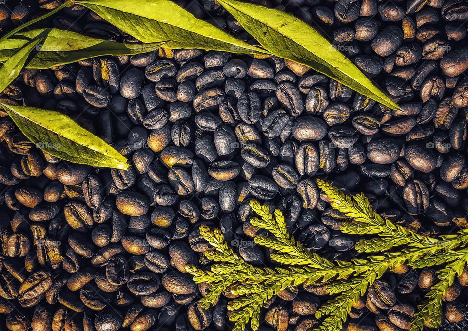 coffee beans