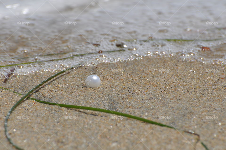 White pearl on the beach