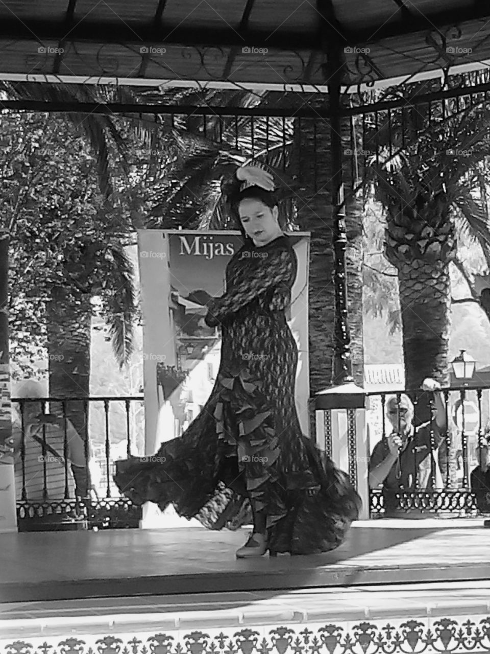 flamenco . flamenco dancer in action 