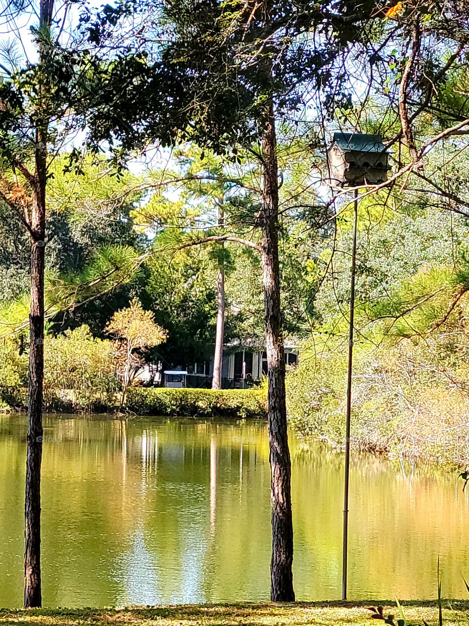 autumn reflections on the lake