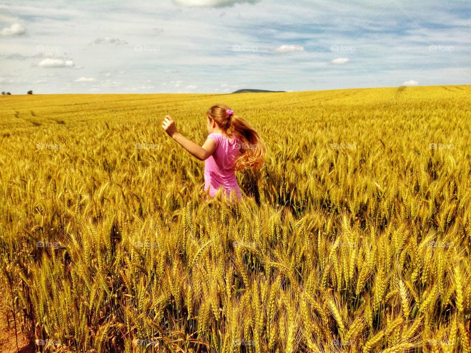 A beautiful scenery somewhere in the wheat fields in Bulgaria on a sunny summer day with a happy girl running trough the field