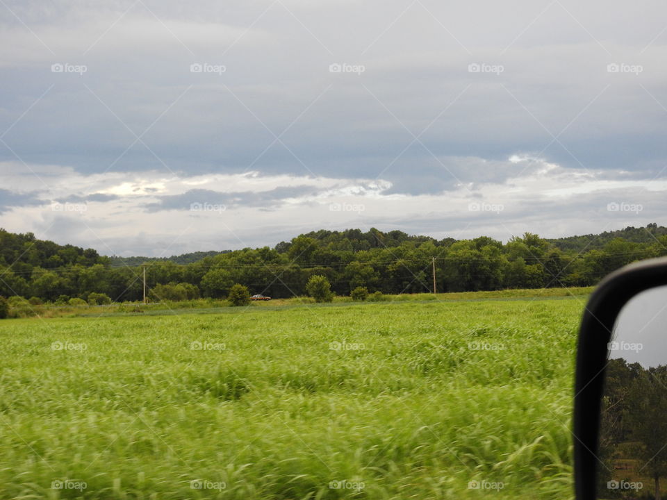 Landscape, Grass, Field, Nature, Tree