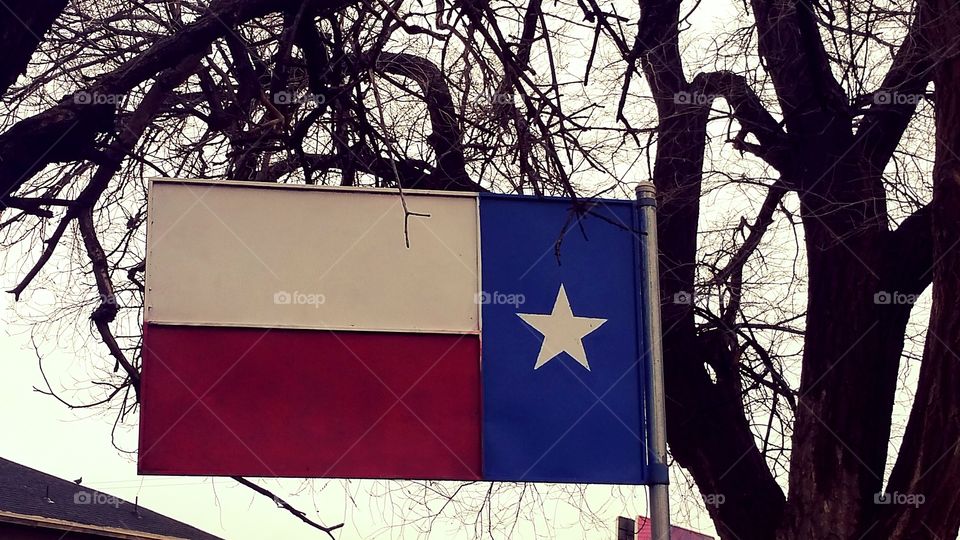 Metal Lonestar Flag