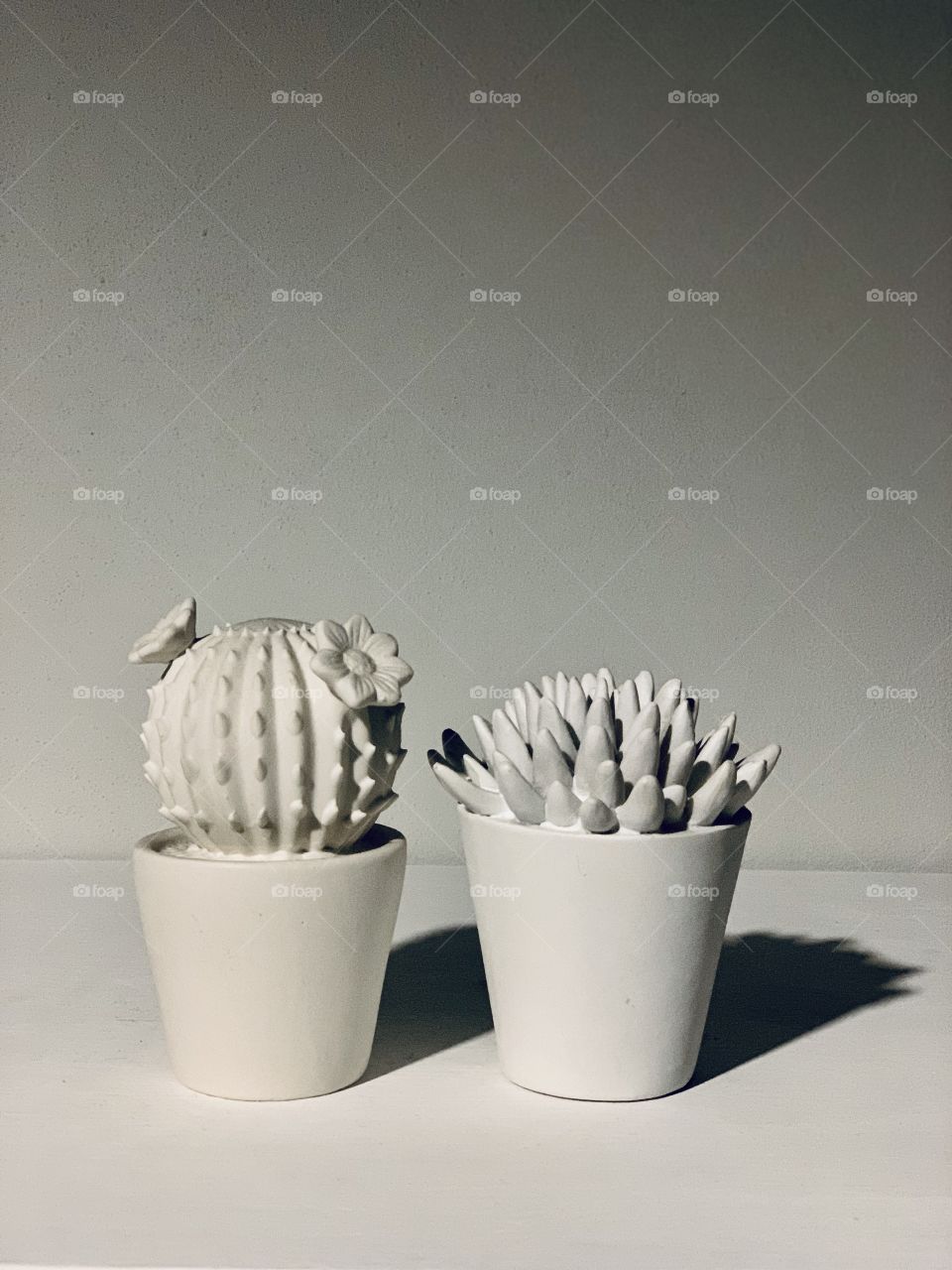 Cactus jars 