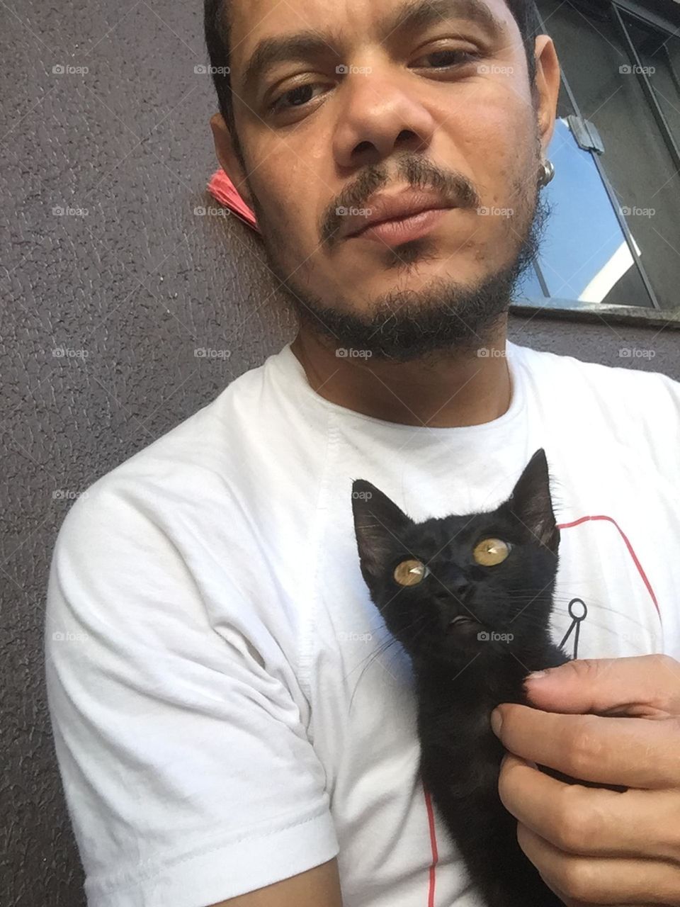 Meu gato 