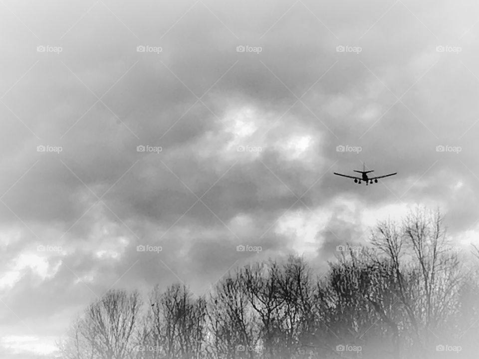 Airplane soaring above the trees into the clouds 