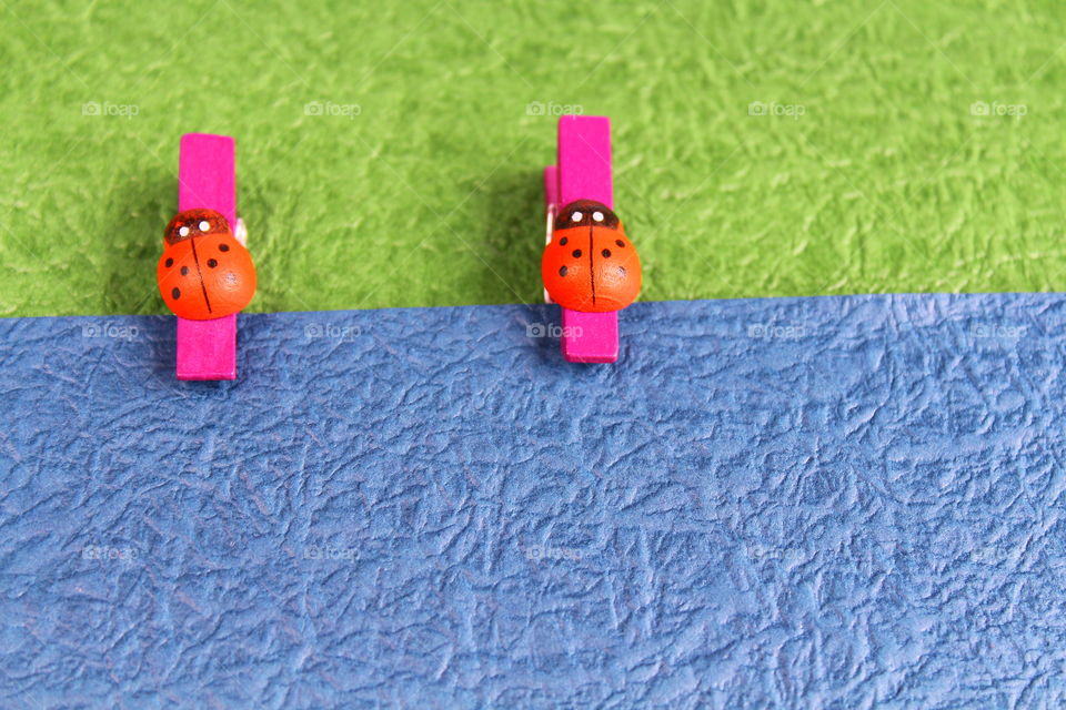 ladybug decorations