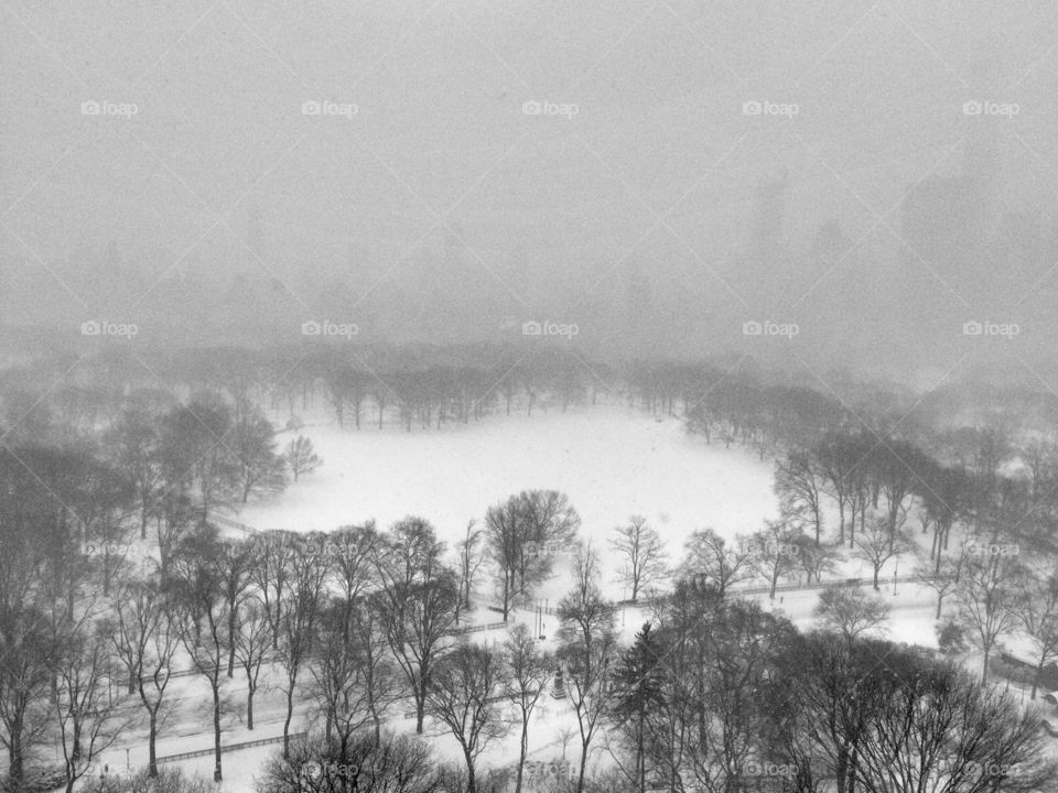 Snow storm 
Central Park
Nyc
Sheeps meadow 

