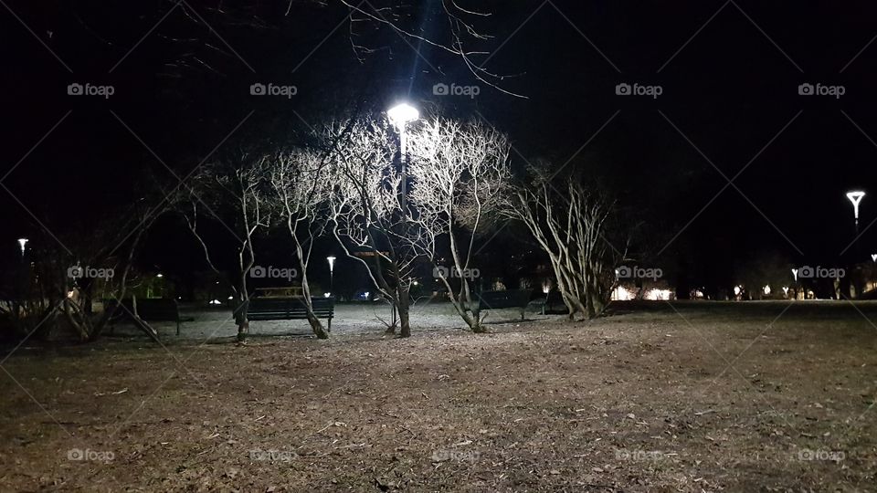 Bjølsen park in Oslo Norway