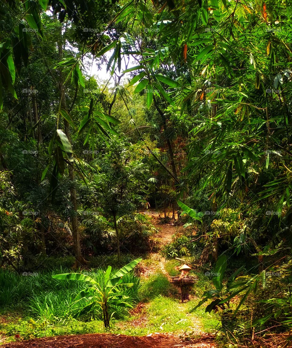 Portrait of a grandmother carrying firewood