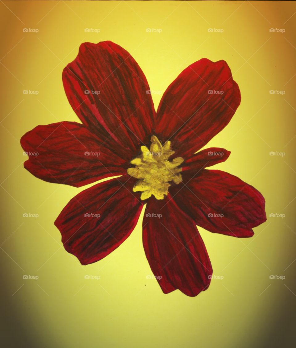 Red Daisy Flower Painting