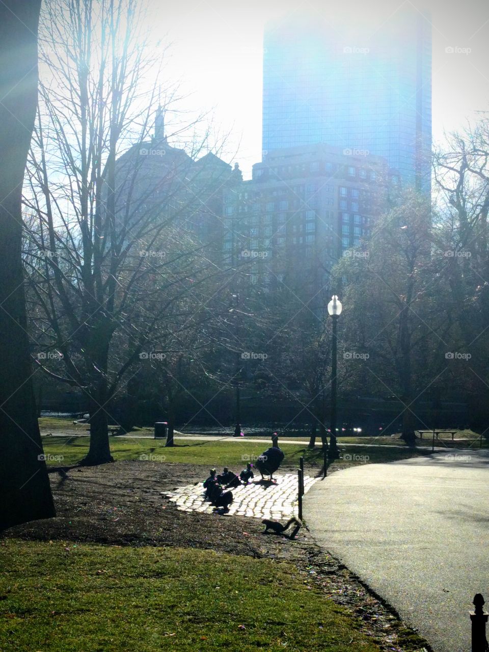 Ducklings matching toward the light