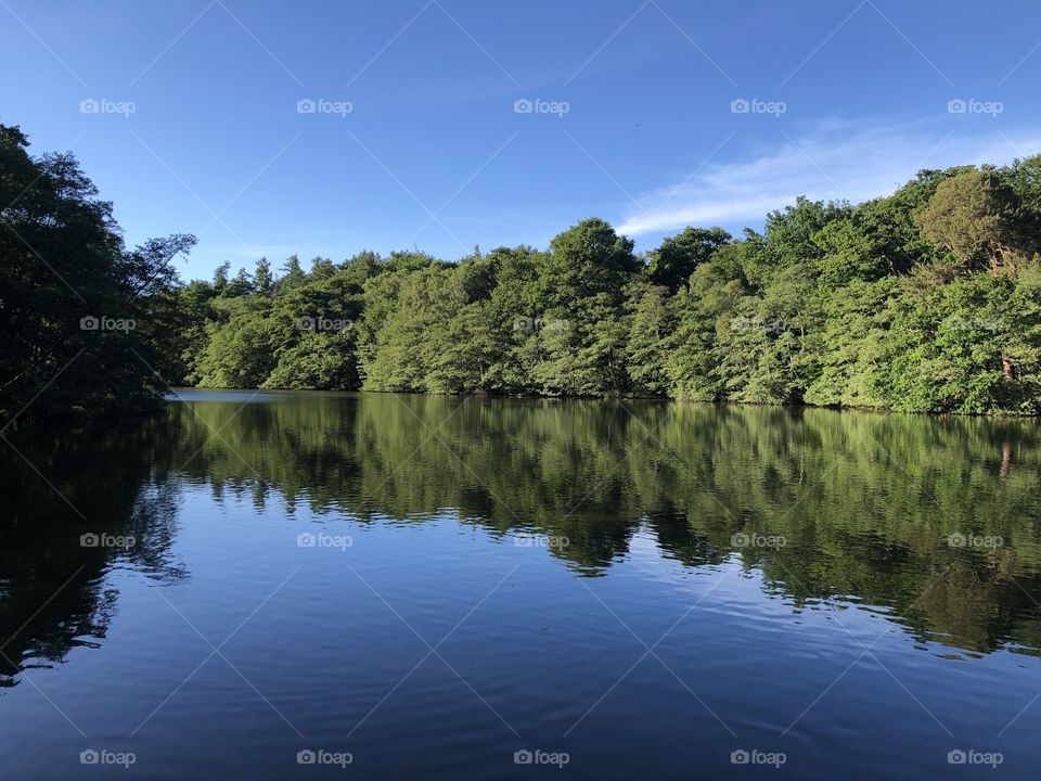 Natural reflection , UK