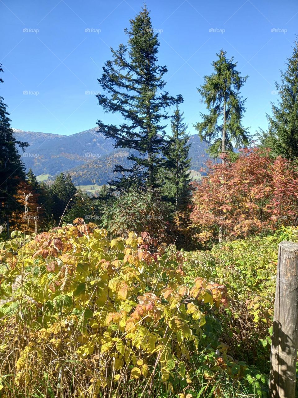 Mountain Trail in Early Autumn