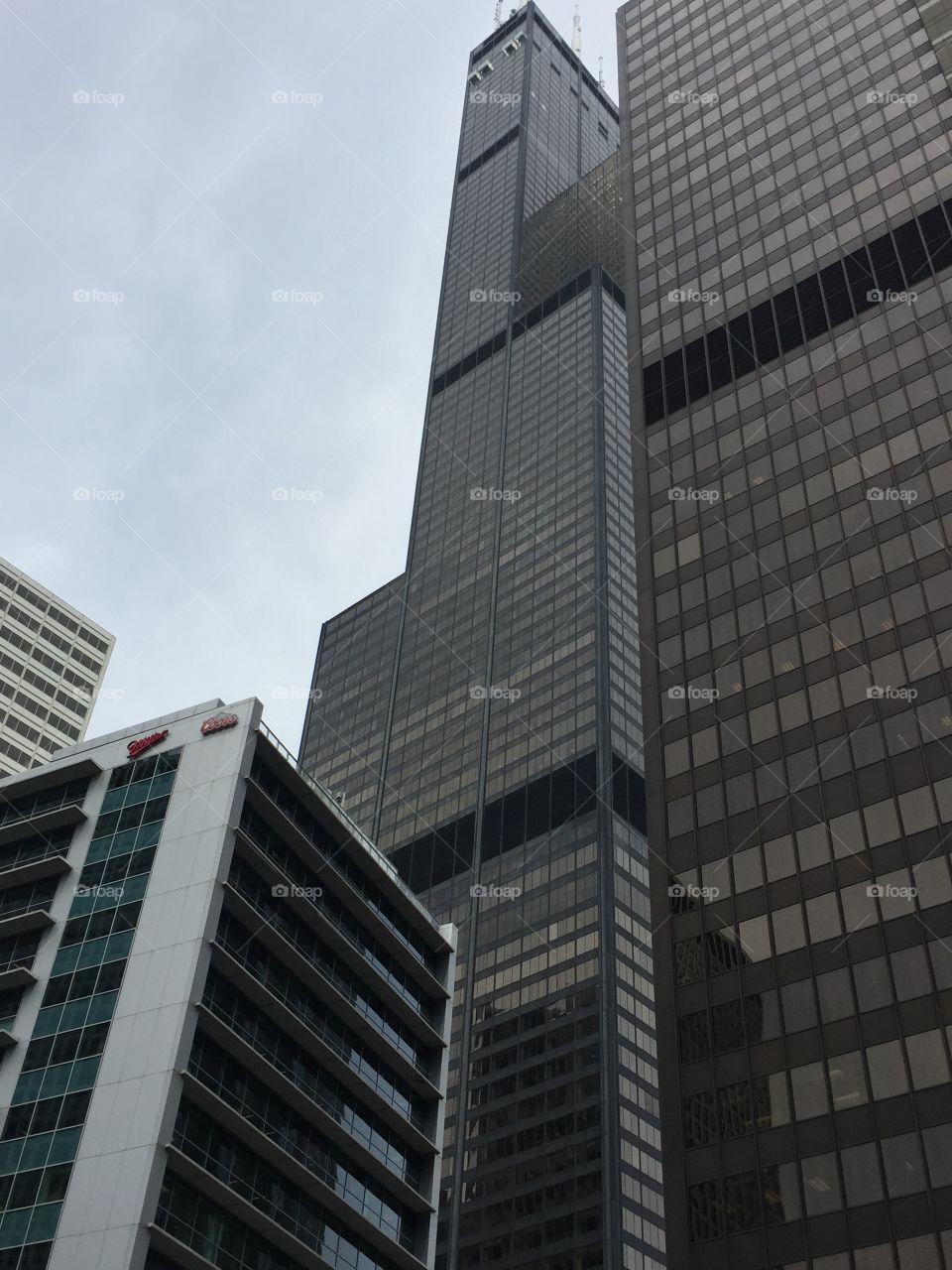 Willis. View of the Willis Tower. 