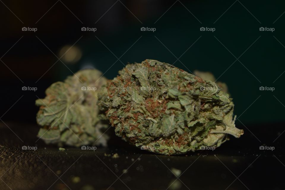 2016 uploads variety of shots