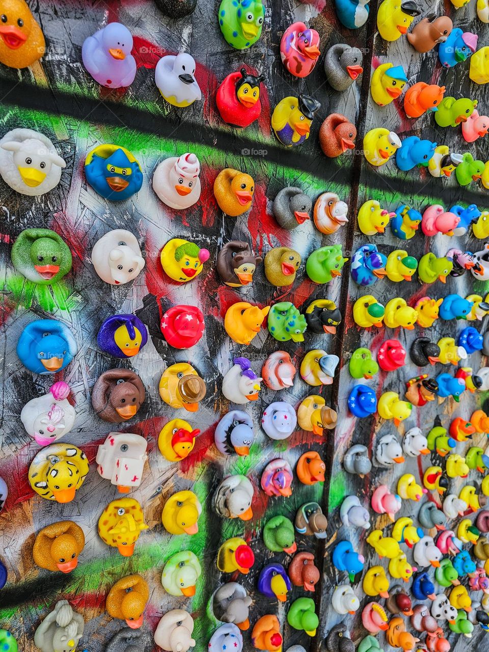 Colorful rubber ducks nailed to the front of an empty storefront in San Francisco California on divisadero street, with pastel and spring like colors creating a unique form of street art graffiti