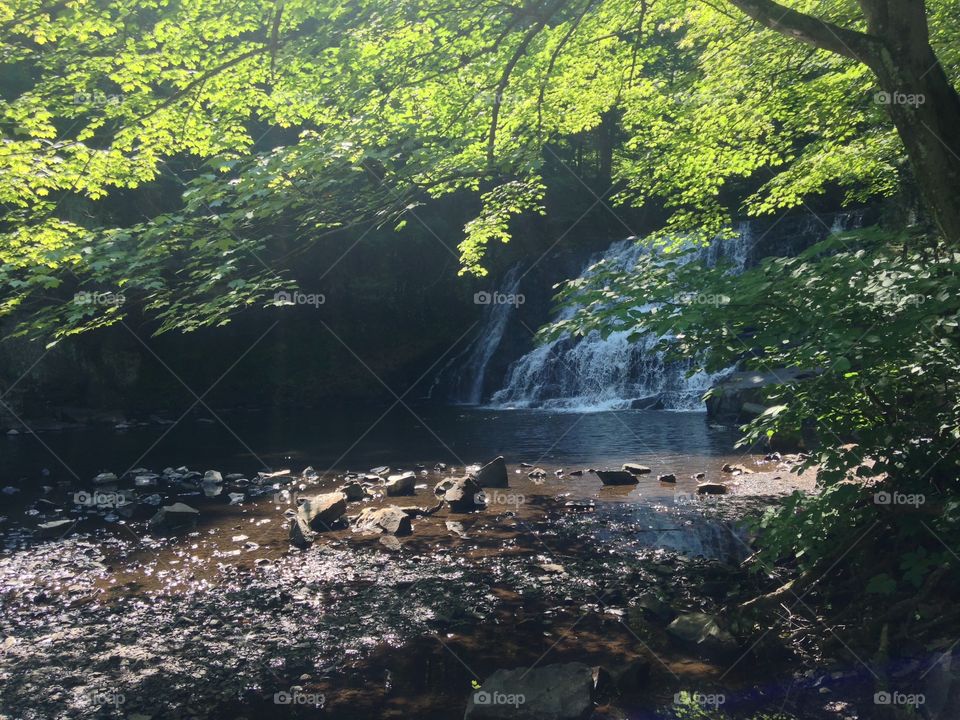Waterfall. Wadsworth State Park