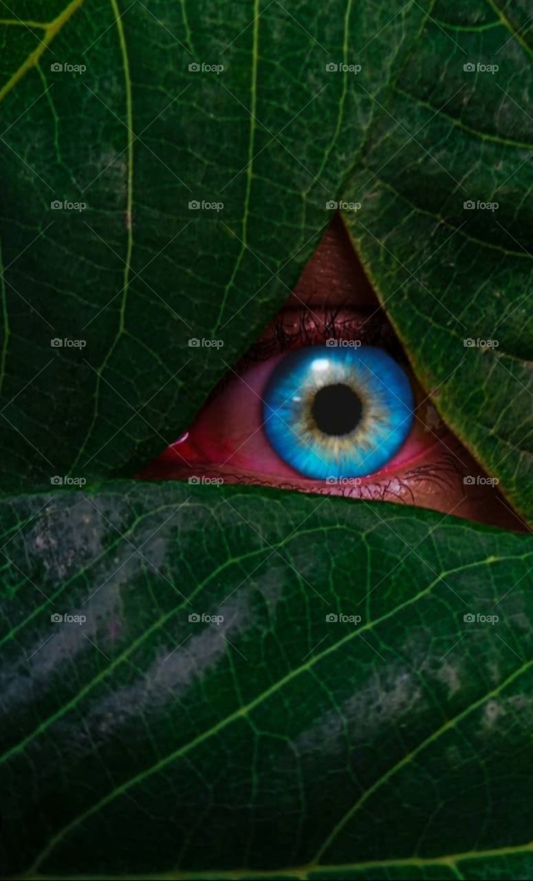 Look into eyee
