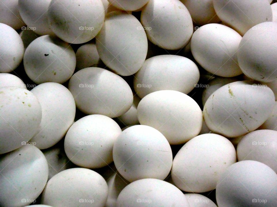 eggs