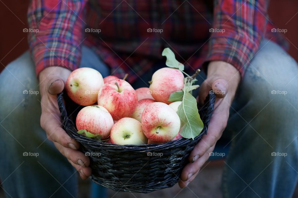 male hands with apple