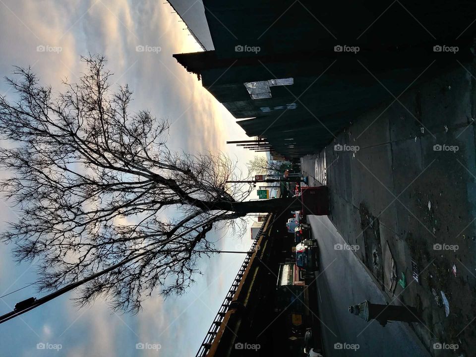 highway street no people dawn