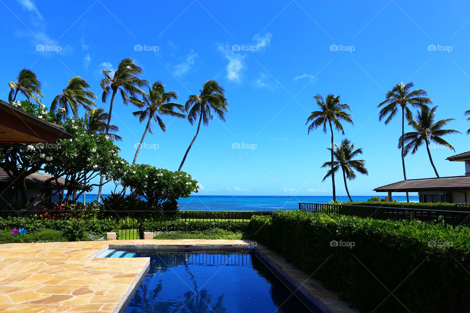 Hawaii. Pool