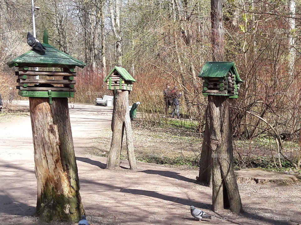 park spring time sun sunny colors colorful nature wild plants flowers amazing stunning cool nice weather hot lovely sky forest grass view splendid