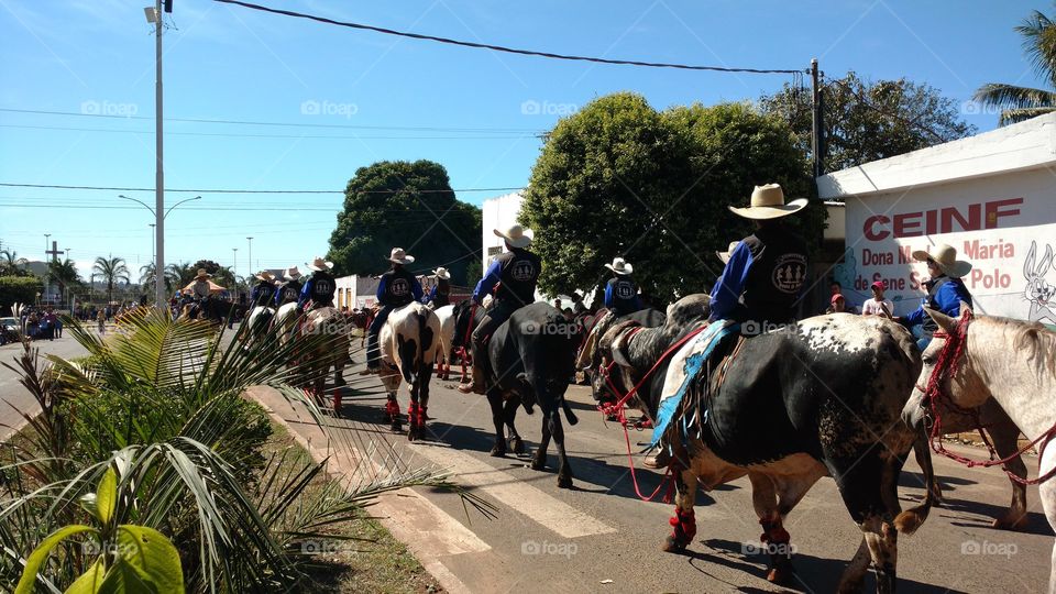 Boiadas e Cowboys.