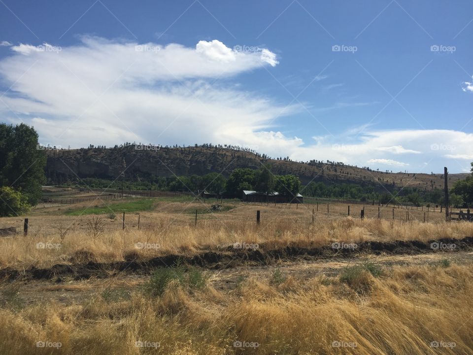 Landscape, No Person, Travel, Sky, Tree