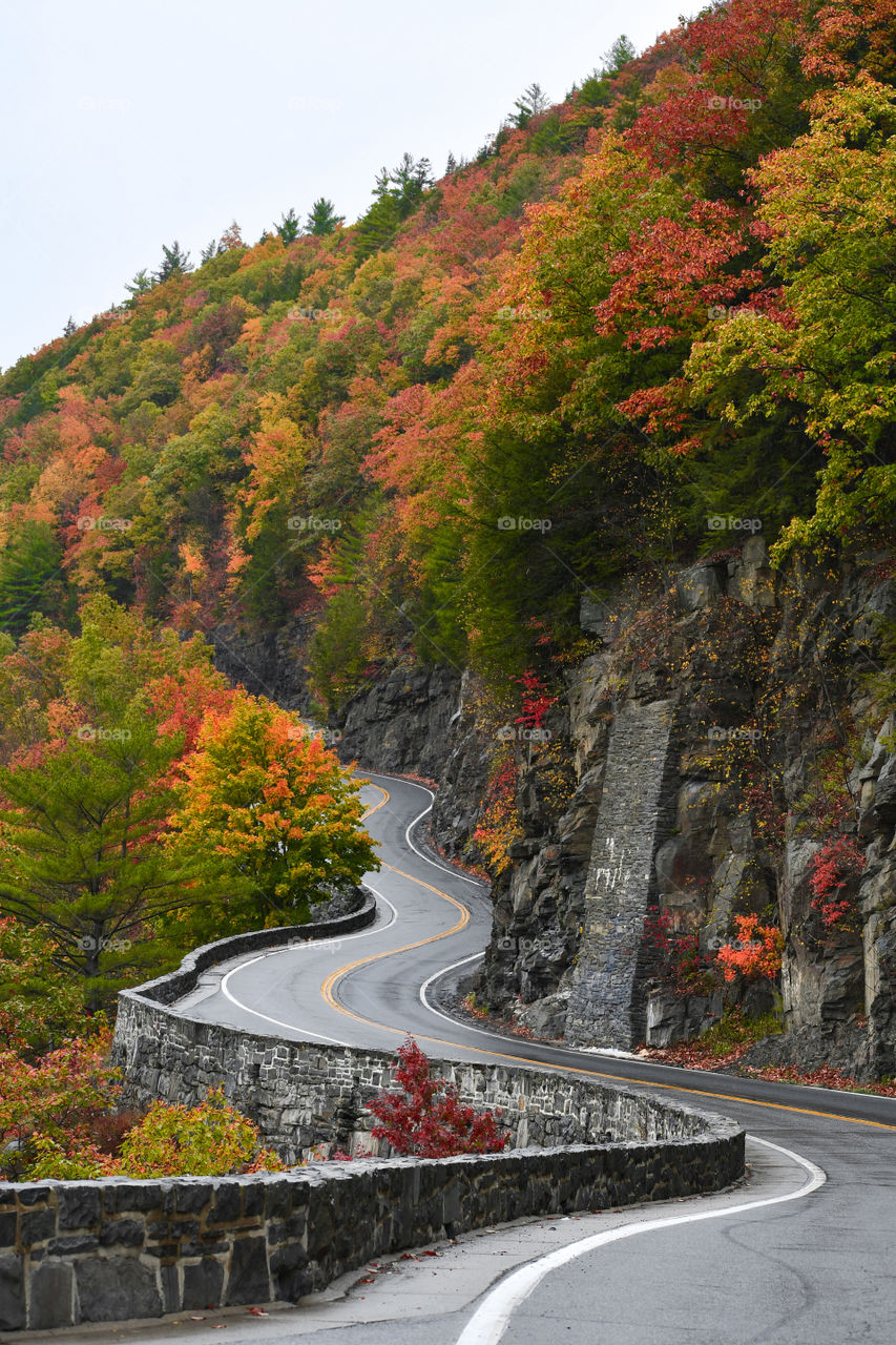 Beautiful Winding Fall Road