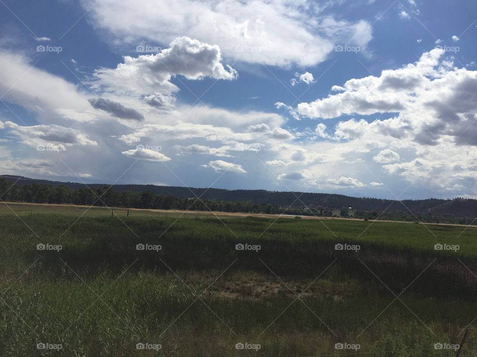 Landscape, No Person, Tree, Sky, Agriculture