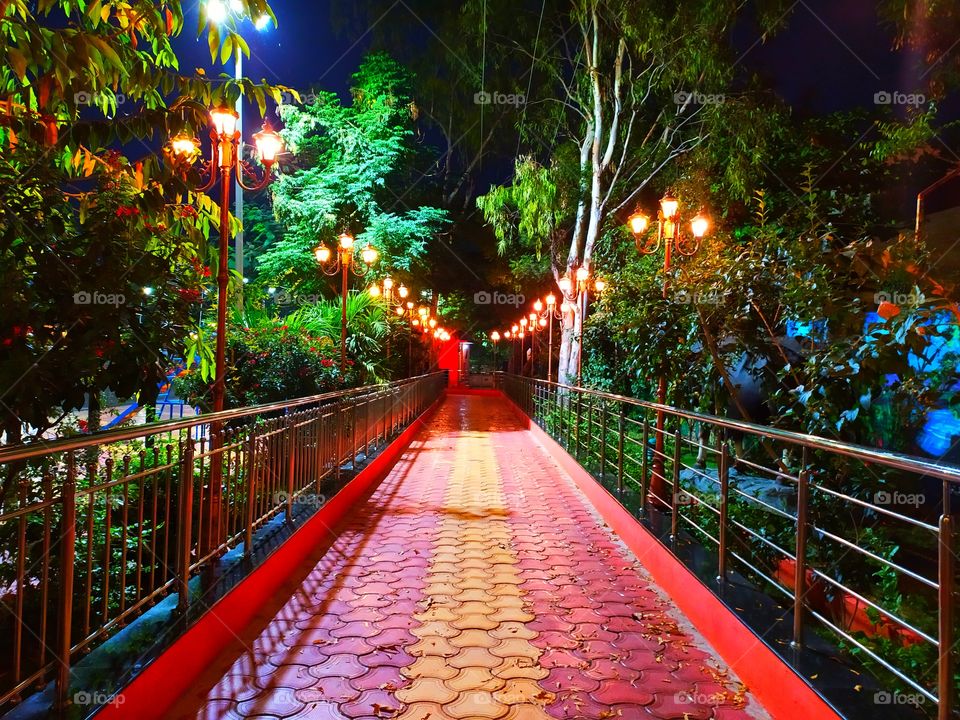 Magical Night with Magical Path towards Destination.