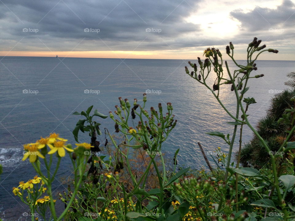 Liguria