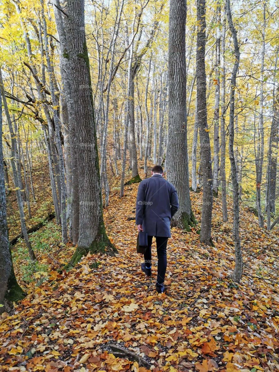 Exploring forest during autumn time.