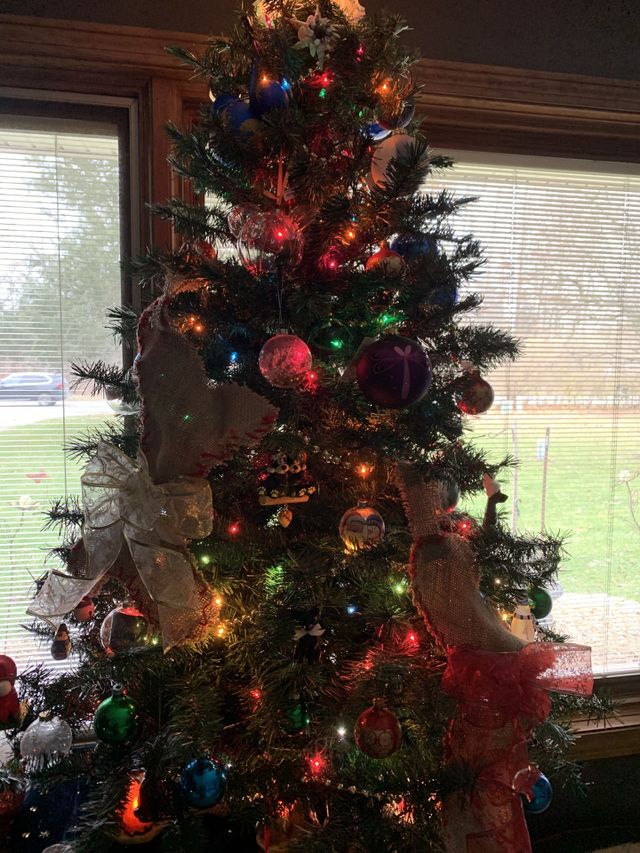 Christmas ready