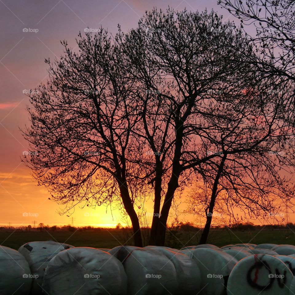 Hay bale wrapped in plastic during sunset