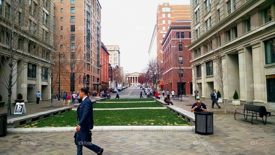 The Busy Street of Washington DC